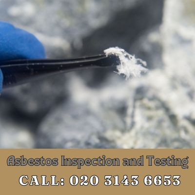 Comprehensive Asbestos Inspection and Testing Services in Kew Bridge